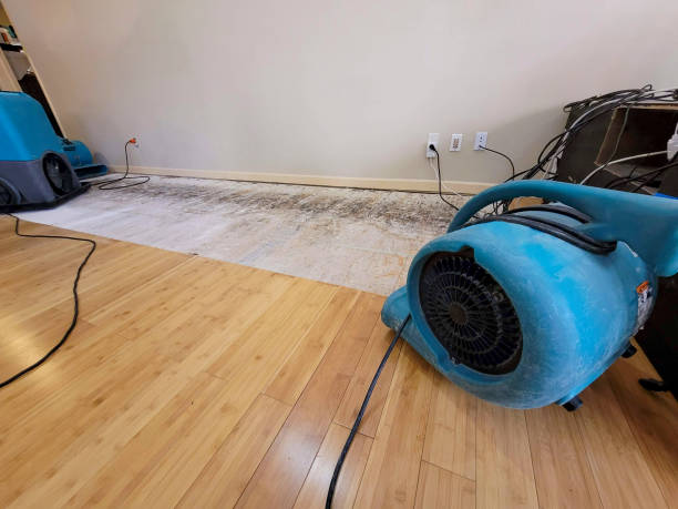 Professional Sewage Cleanup technician working in Garden Valley, ID